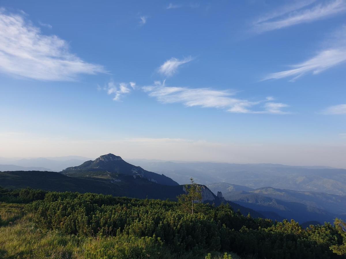 Casa Tucan Ceahlău Buitenkant foto