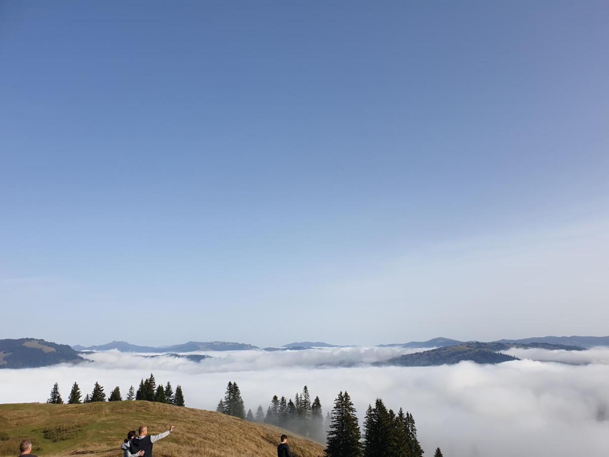 Casa Tucan Ceahlău Buitenkant foto