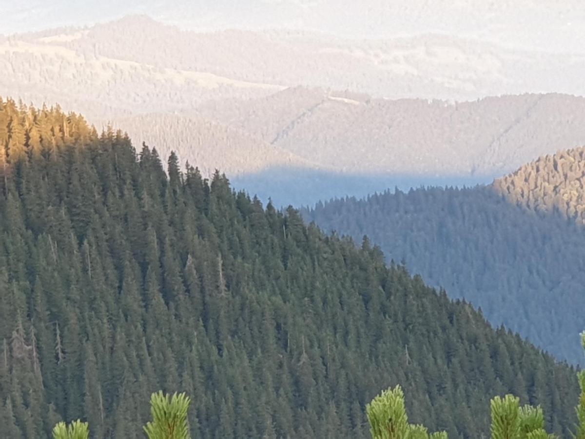 Casa Tucan Ceahlău Buitenkant foto