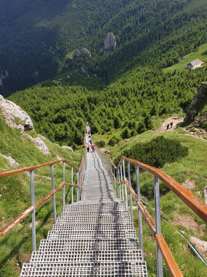 Casa Tucan Ceahlău Buitenkant foto